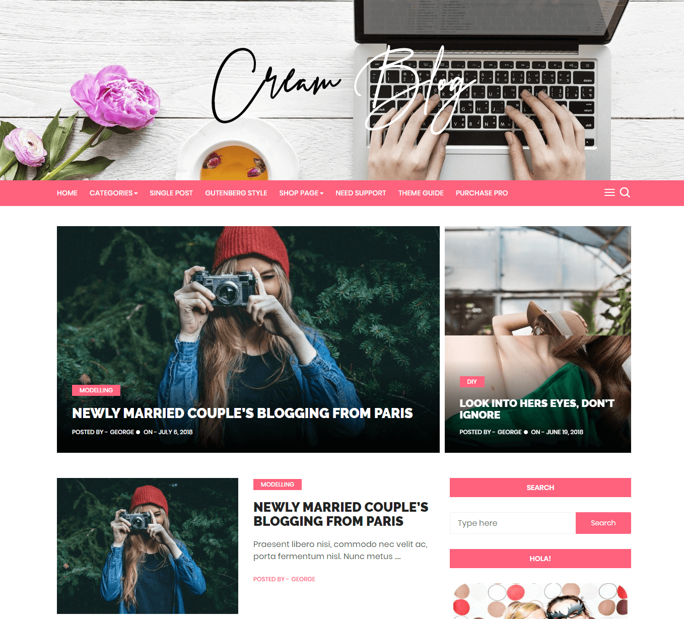 20+ Best Free WordPress Themes For Personal Blog - Themebeez Blog