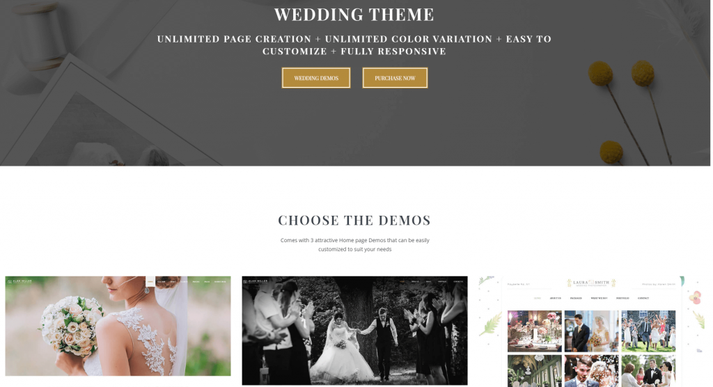 Wedding Photographer WordPress Theme - Vivagh Ss